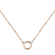 pozlacený náhrdelník chirurgická ocel Brosway Catena BCT43