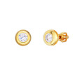 Stříbrné pozlacené náušnice na šroubek 3131920001