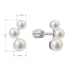 Náušnice stříbrné s říční perlou 21101.1B