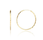Pozlacené stříbrné náušnice kruhy 3134170001