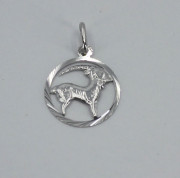 Stříbrný přívěsek se znamením Kozoroh 3035820011