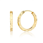 Pozlacené stříbrné náušnice kruhy 3134130001