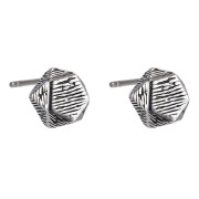 Moderní náušnice z chirurgické oceli ESS843