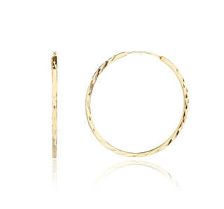 Pozlacené stříbrné náušnice kruhy 3134170001