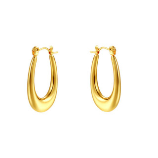 Zlaté náušnice z chirurgické oceli WJHE1103GD