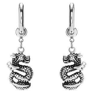 Visací ocelové náušnice s drakem WJHE1274