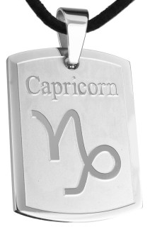 Ocelový přívěsek SESSP823-10 Kozoroh