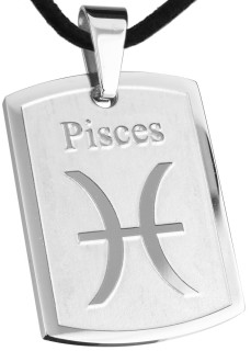 Ocelový přívěsek SESSP823-12 Ryby