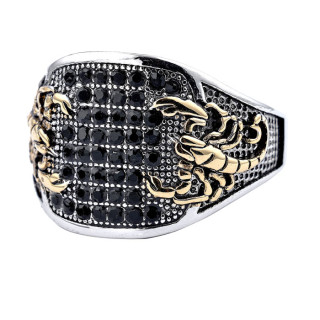 Ocelový prsten pro muže a ženy WJHZ1839