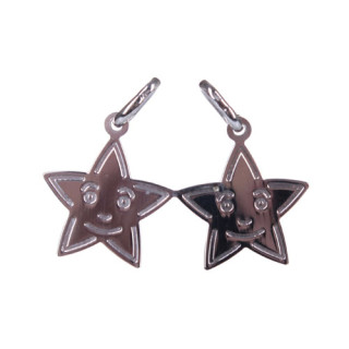 Přívěsek pro dva 301973