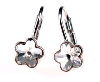 Náušnice stříbro 302014