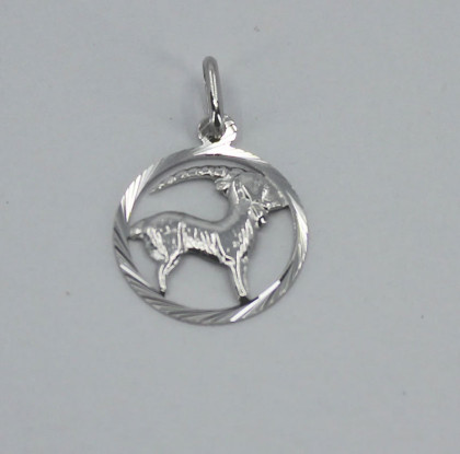 Stříbrný přívěsek se znamením Kozoroh 3035820011