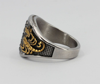 Ocelový prsten se ětírem WJHZ1839