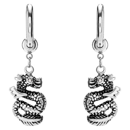 Visací ocelové náušnice s drakem WJHE1274