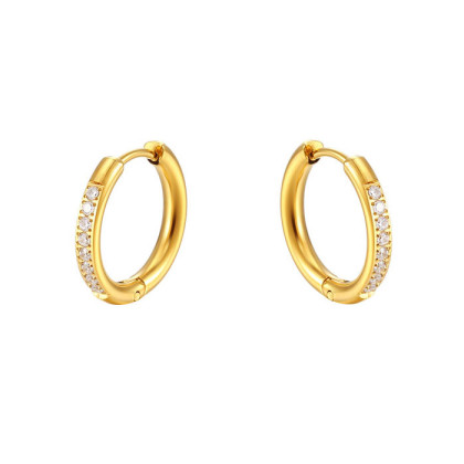 Náušnice z chirurgické oceli se zirkony WJHE994ST