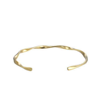 Pozlacený bangle z chirurgické oceli BSS202GD
