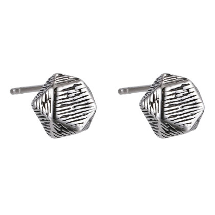 Moderní náušnice z chirurgické oceli ESS843