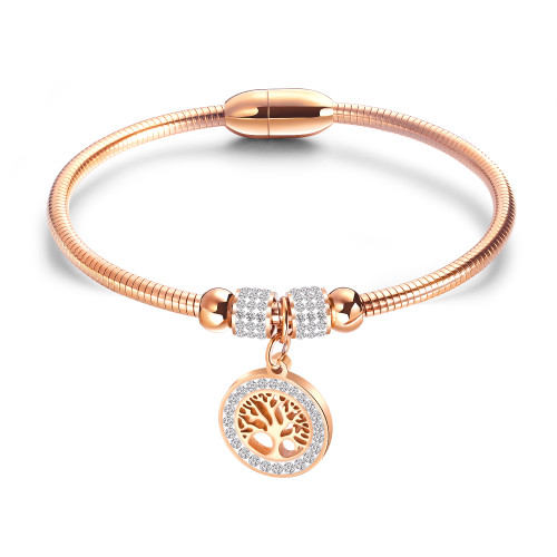 Dámský náramek z chirurgické oceli JCFGH925RG