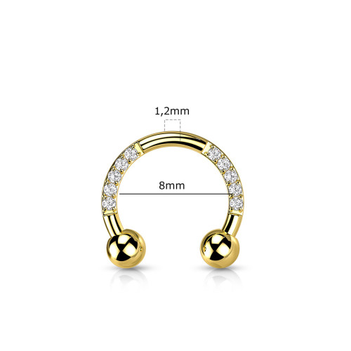 Titanový piercing podkova SET23H05-GD