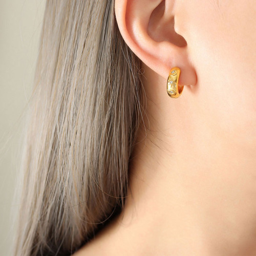 Náušnice kroužky z chirurgické oceli WJHE941GD