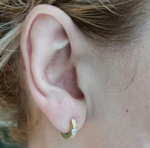 Náušnice se zirkony Genco GESS205ST